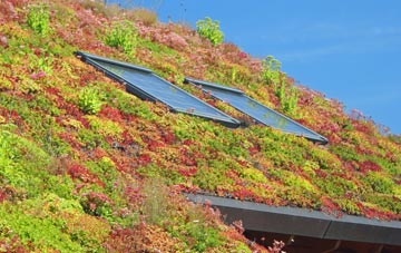 Norton St Philip living roof systems